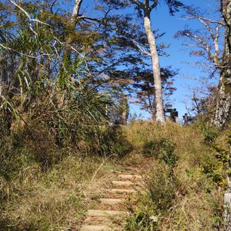 今日の檜洞丸山頂