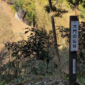 谷を隔てた向こう側のお山に鎮座まします、如來形磨崖仏　当尾の石仏群の中で最大（幅6mの花崗岩に2.8mに高肉掘りされた如來像）