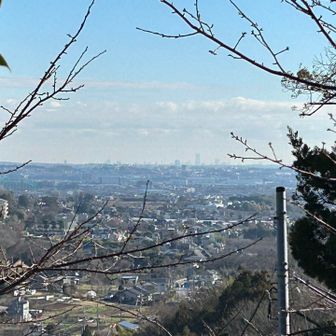 ランドマークタワー