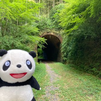 かつおのえぼし