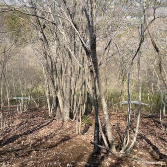 「山の目」を真上から。白い２つの板が目です