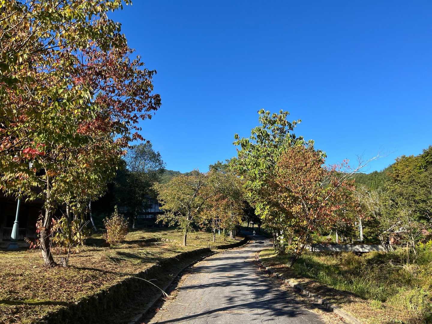 牧場の中を歩きます🚶‍♀️