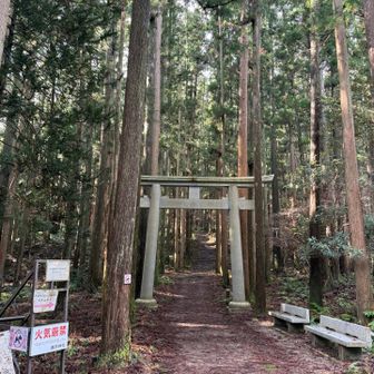 お邪魔します🙏