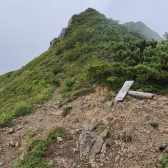 この分岐から…
