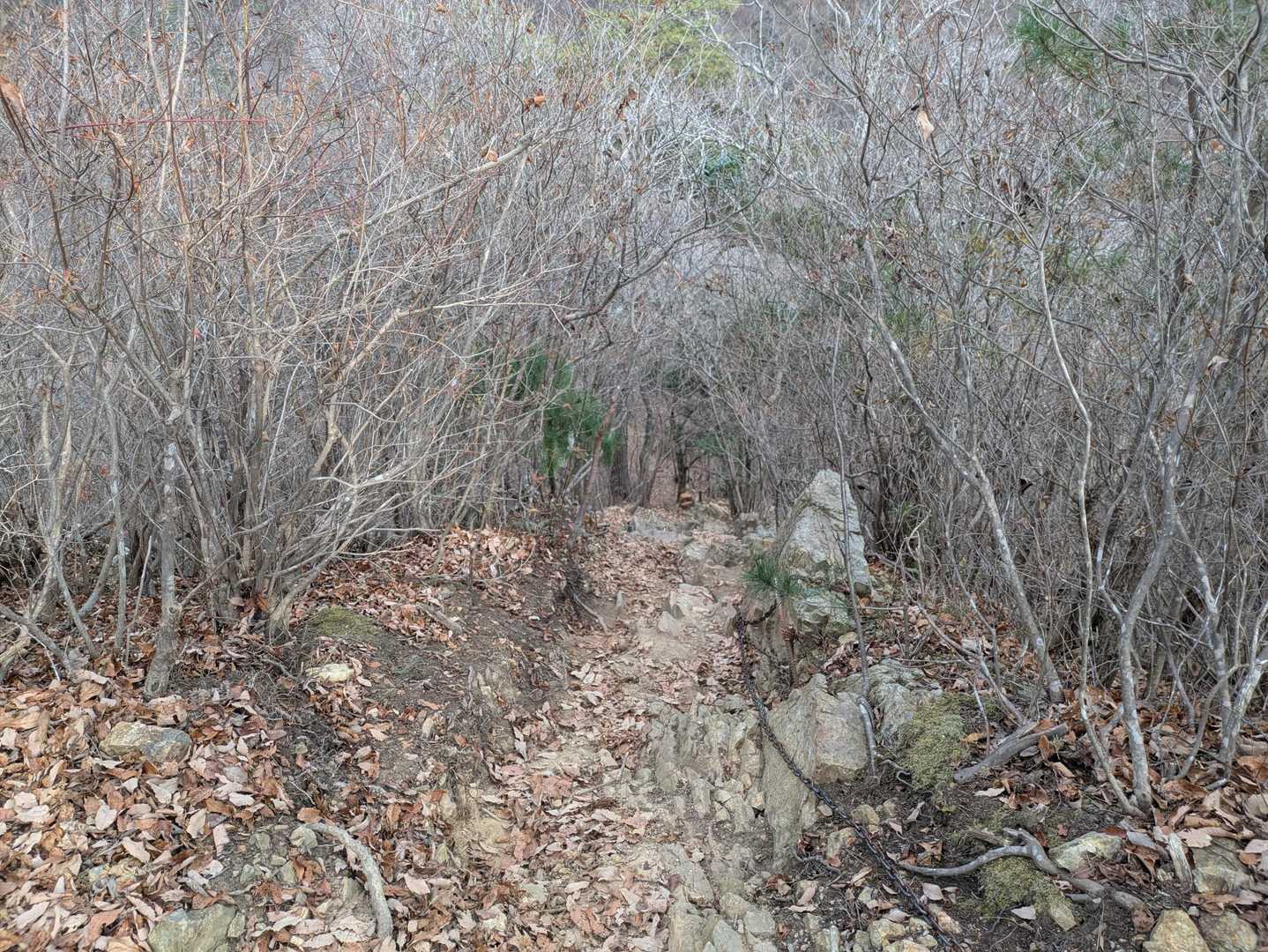 登り切って振り返ると怖い😨
登りで良かった😊
