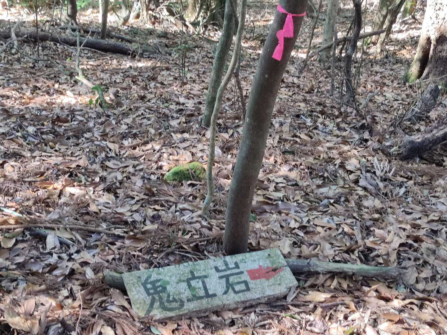 山頂で会った方に、右から反時計回りに歩くと良いと教えて貰いその通りに😁
