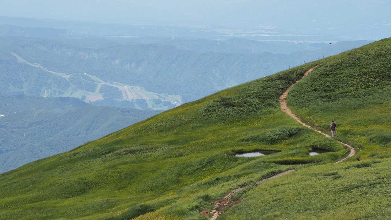 巻機山、夏空の夫婦登山 の写真 19