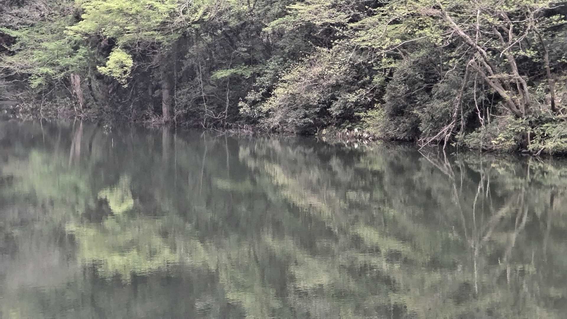 三千坊山 往復コースの写真