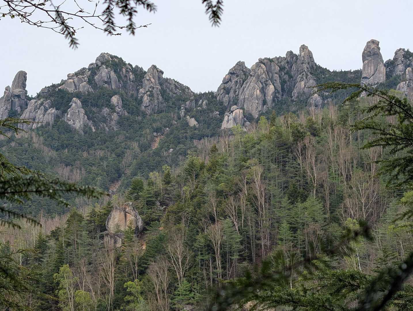 八丁平-小川山 往復コースの写真