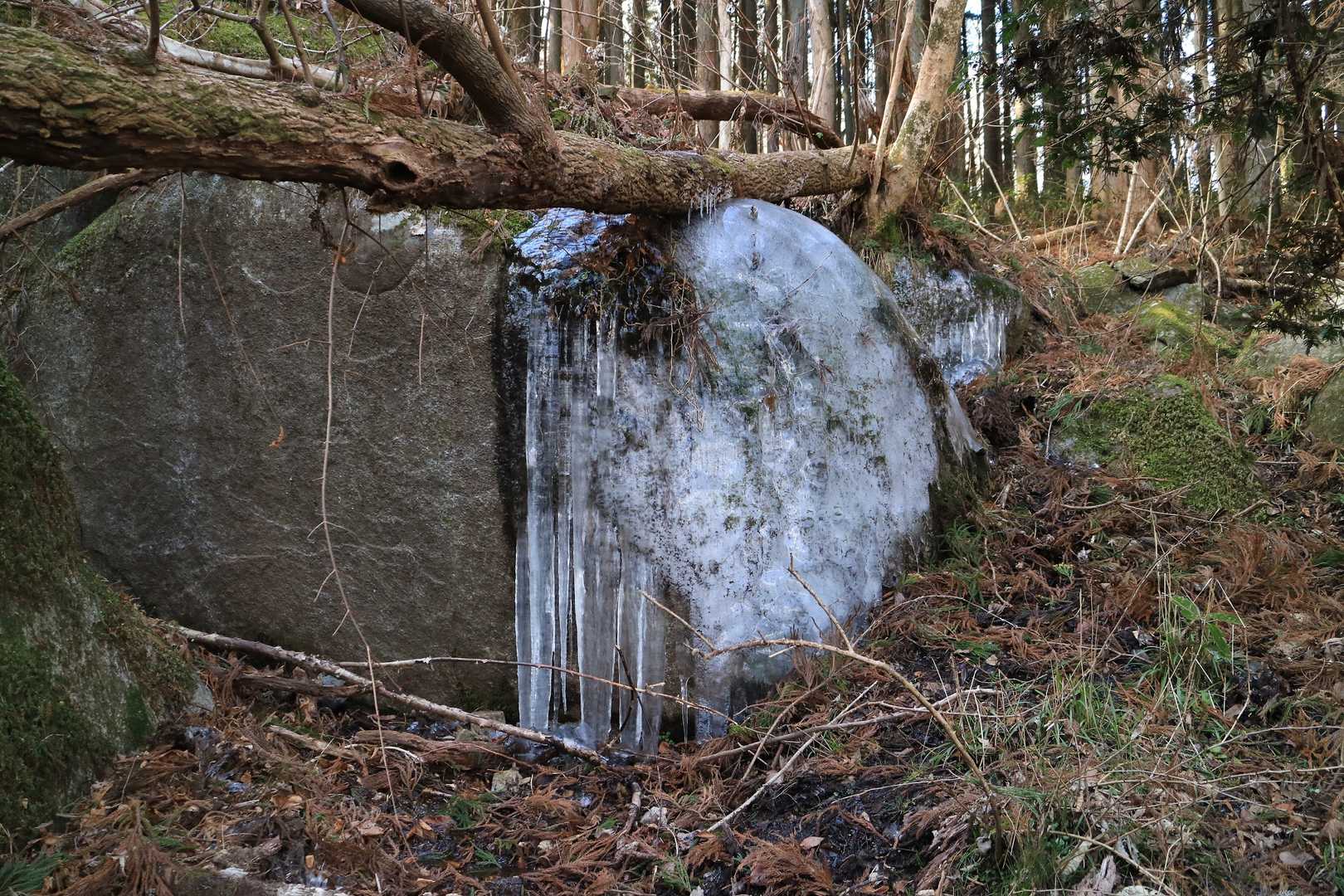 仏具山登山道入口-五社神社-仏具山-笠間稲荷大明神 周回コースの写真