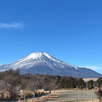 駐車場からでもこの景色