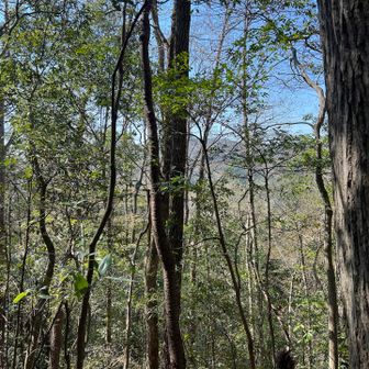 眺望なんて んなもん ねぇ。