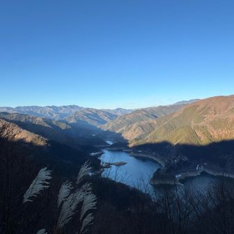 わかるかな？
前の写真と見比べてみてね