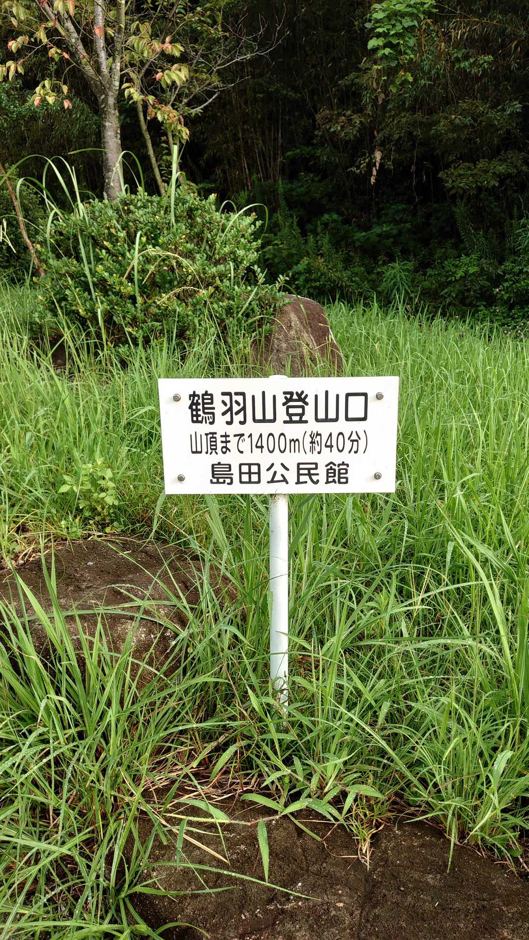 登山口からスタートです
