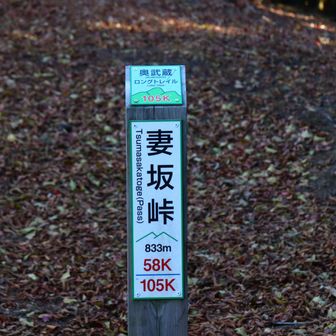 妻坂峠に着きました。