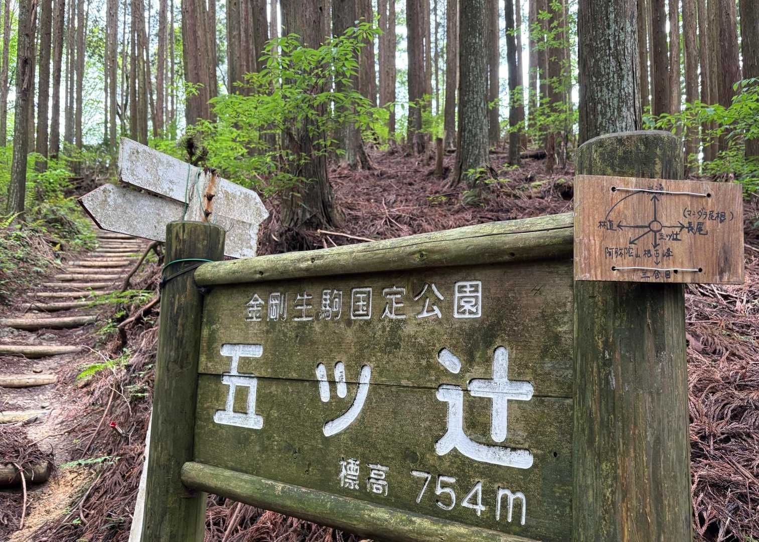 五ツ辻からダイトレコースへ✊