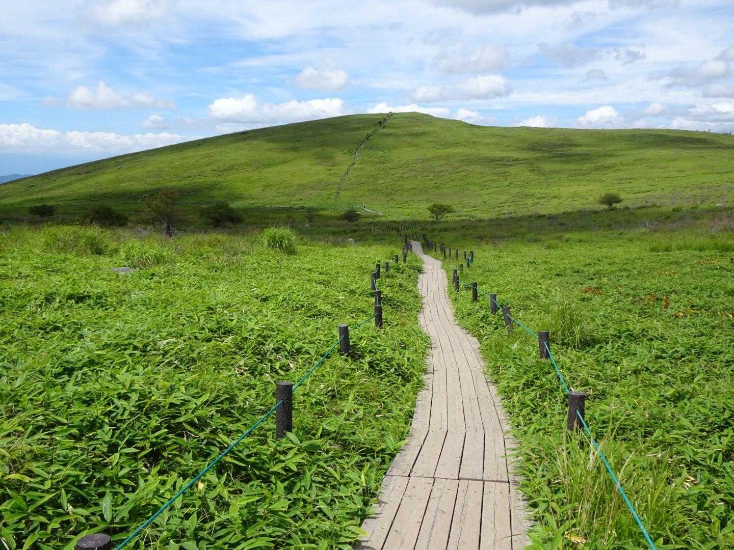 蝶々深山への木道を進む🎶