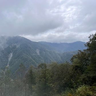 右手の方、最終目的地の塔ノ岳は見えました👀✨
遠いなーー