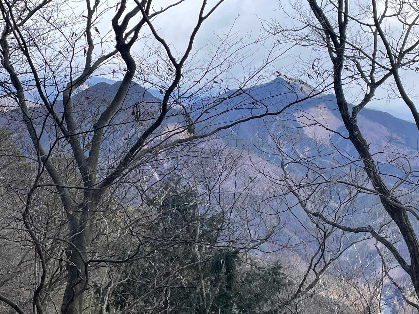 少しだけ景色が望めた
笹目倉山と鶏鳴山かな？（たぶん）
カッコいいなぁ