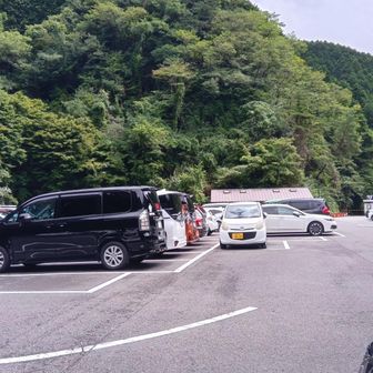 結構いっぱい🚐🚙