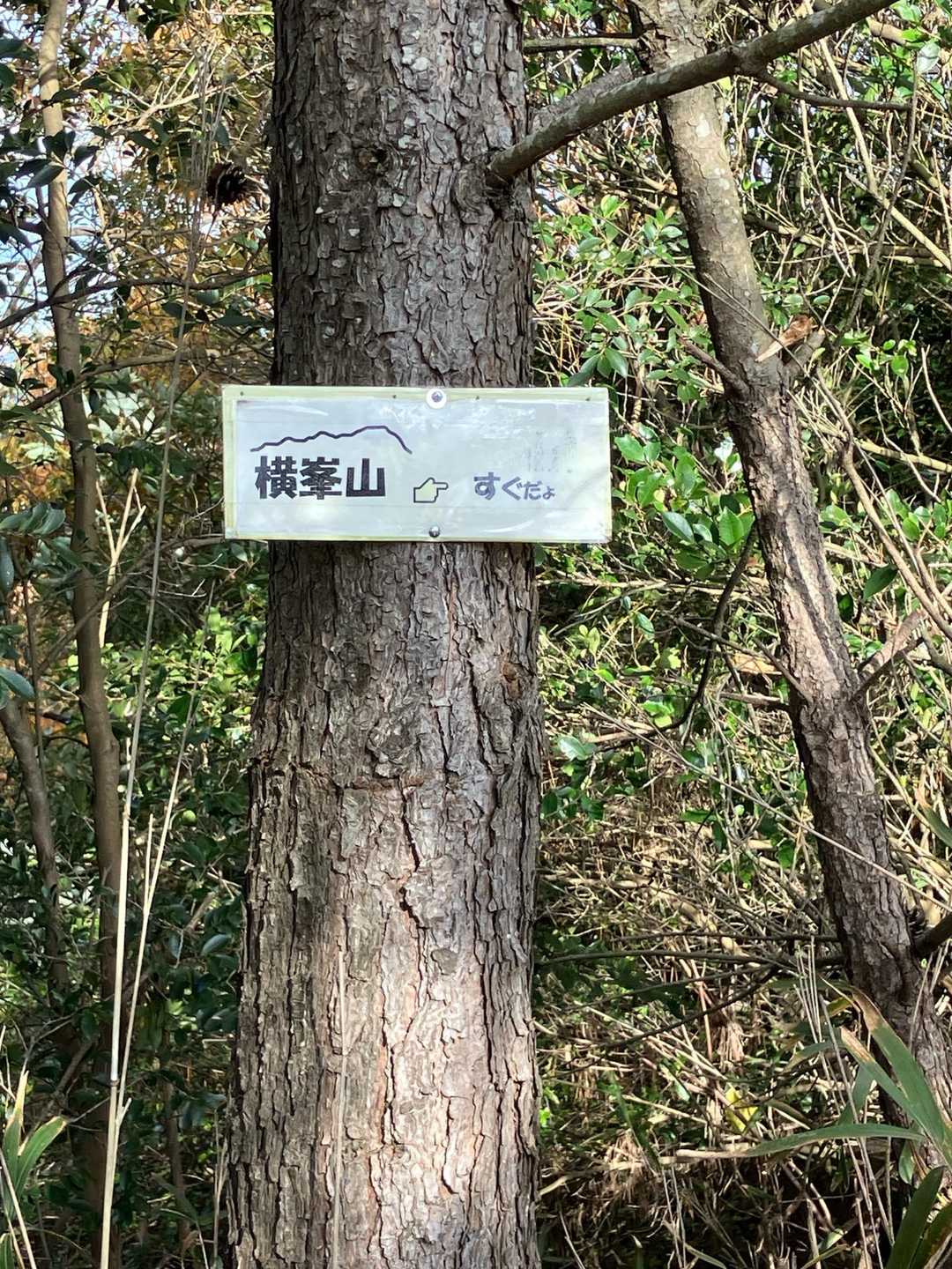すぐだよー
に、励まされ