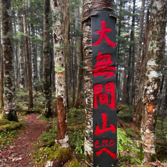 大無間山 …あと一歩でしたが…😖💦

時間もかなり押したので、泣く泣く撤退することになりました。。