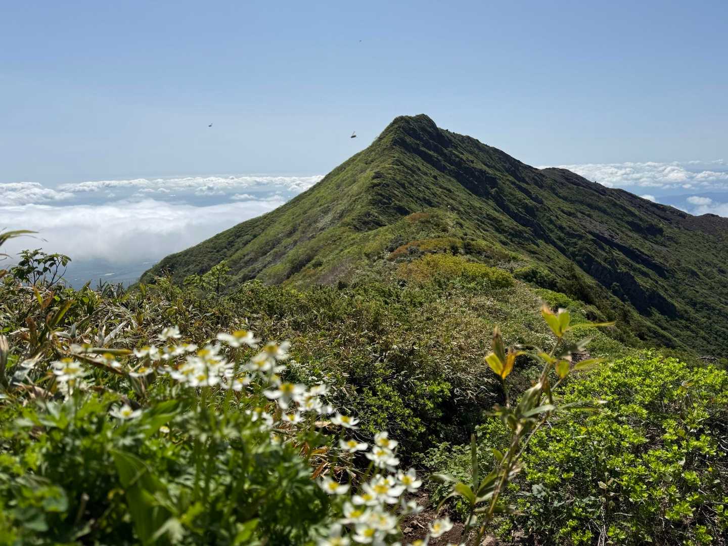 南蔵王登山口-刈田峠-屏風岳-南屏風岳-不忘山 往復コースの写真