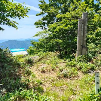 ビュースポットだが羽虫🪰が多く休憩どころではない😣
観音像があるようなので左下↙️へ下りてみる