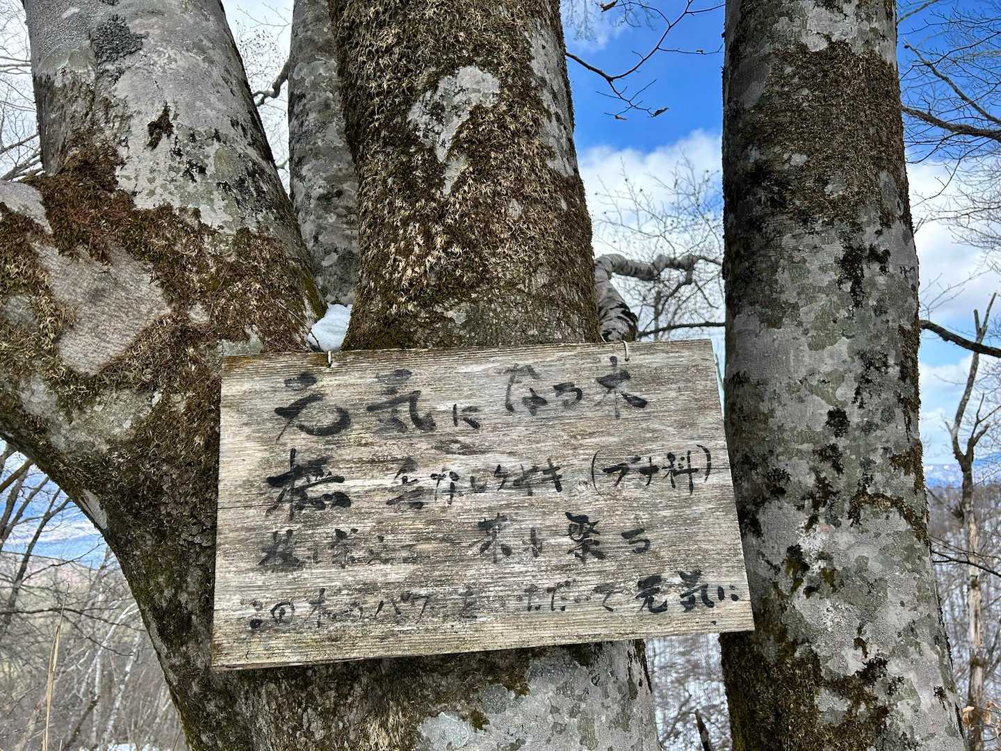 なった気にはなった💪
