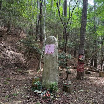 約2メートルのお地蔵様🙏