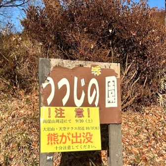 両崖山からほど近い、
天空テラスで熊の目撃情報が
あったとか…
この辺りもでるんですね…