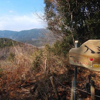 入沢山
大きな看板が設置されており、八王子市街が見えます