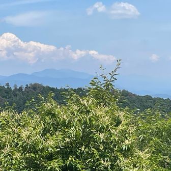 多分那岐山