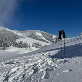手袋乾かし中🧤