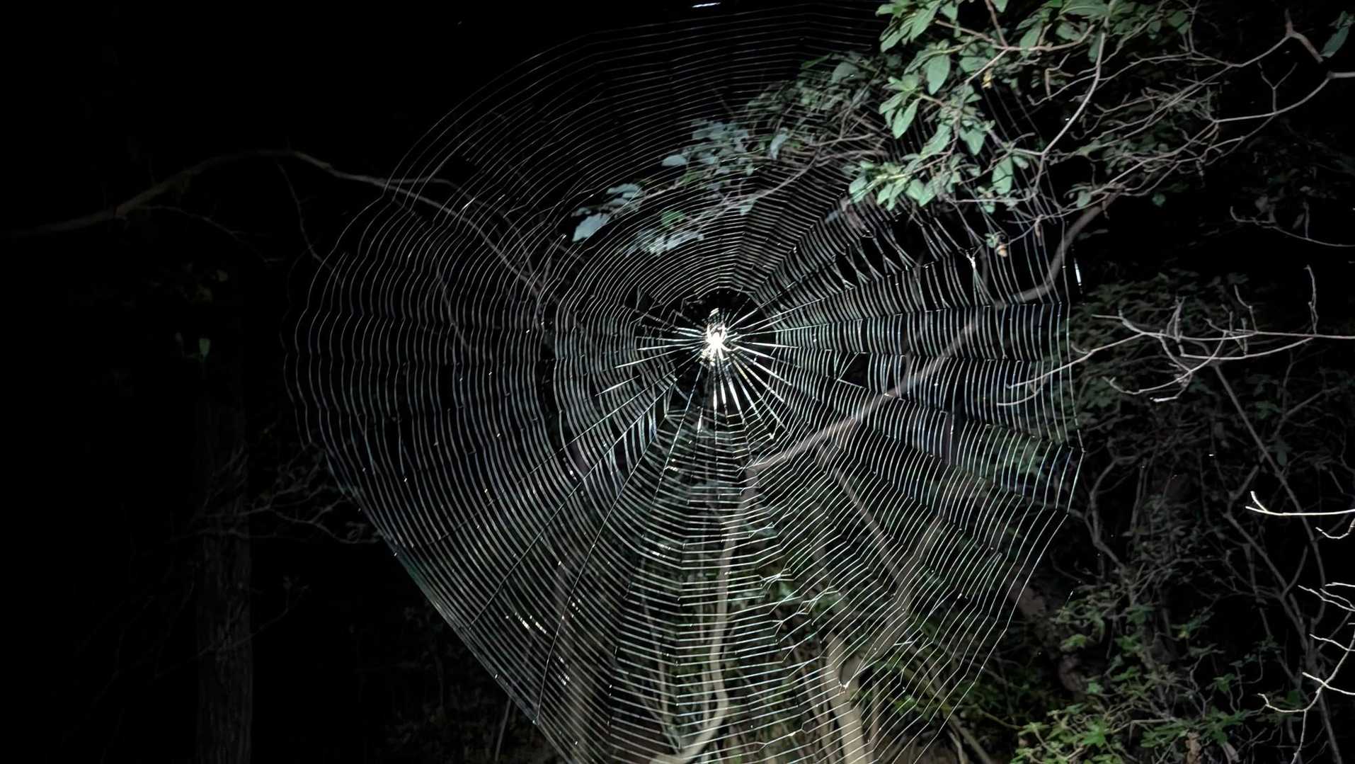 はさみ池登山口-名草山 往復コースの写真