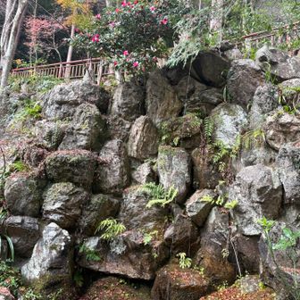 やっとこそっとこ下山して、大矢田神社の滝