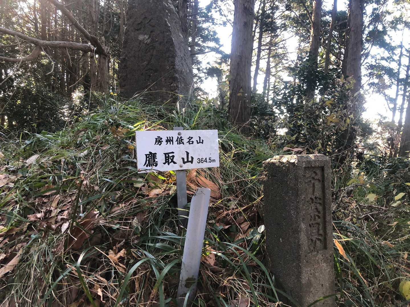 ＜房州低名山：鷹取山＞
御殿山より鷹取山のほうが標高が高い