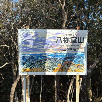 八祢宜山 426m