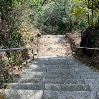 小笠神社の先が気になるけど、急階段だからやめました😅