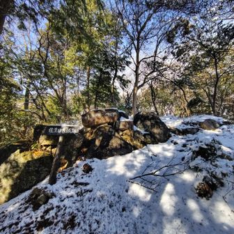 城跡まではいい感じで到着
ここから続きを行くのにちょっと降下するところは滑り落ちる