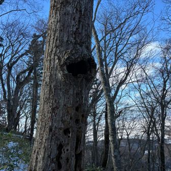 大きな穴！初めてみた👀✨