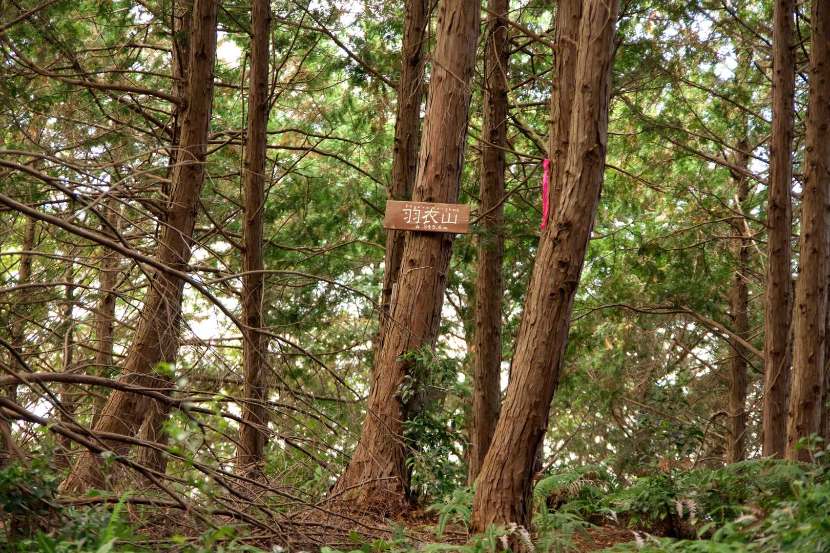 羽衣山到着