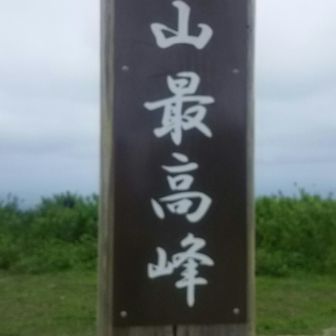 とおちゃんメタボ