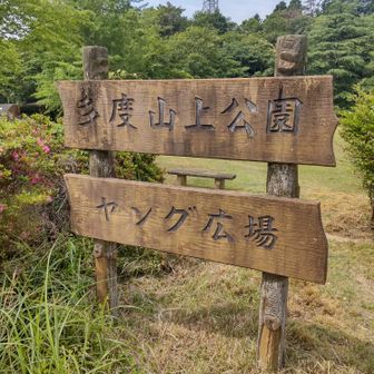 ヤング広場到着 ベンチ多数有り