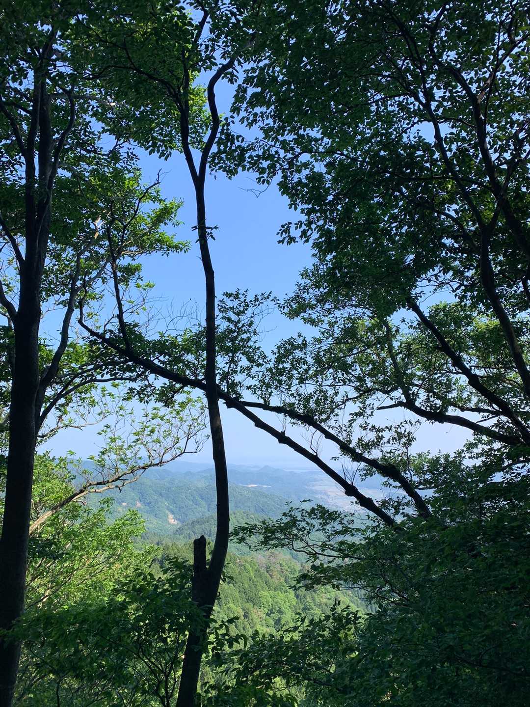 法沢山 往復コースの写真
