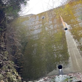 六甲山・長峰山・摩耶山 ホッチキス堰堤②
左側⬅️を登る