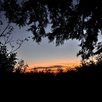 おんなじ写真ばっかでゴメンねー