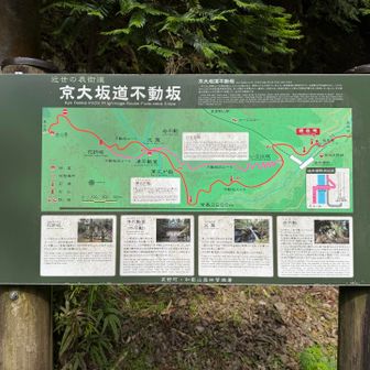 赤いルートを辿り女人堂まで登ります。
