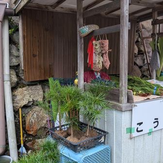 こうやまきを売る少女､イヤおばあちゃん。