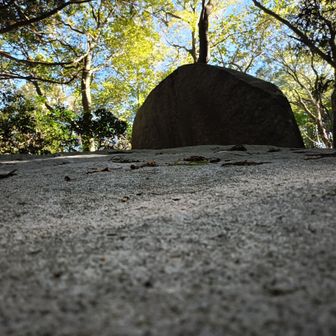 のっぺり表面